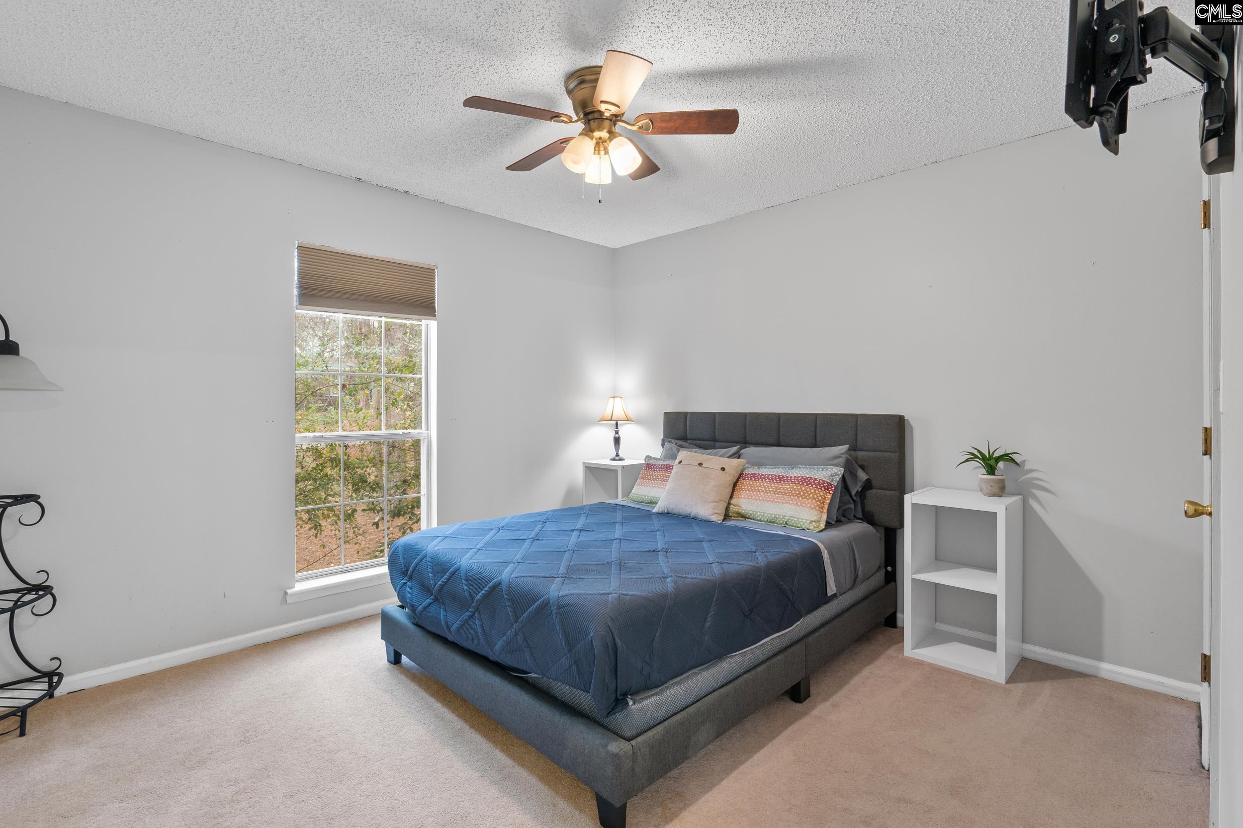 904 Green Meadow Drive Chapin, SC 29036
