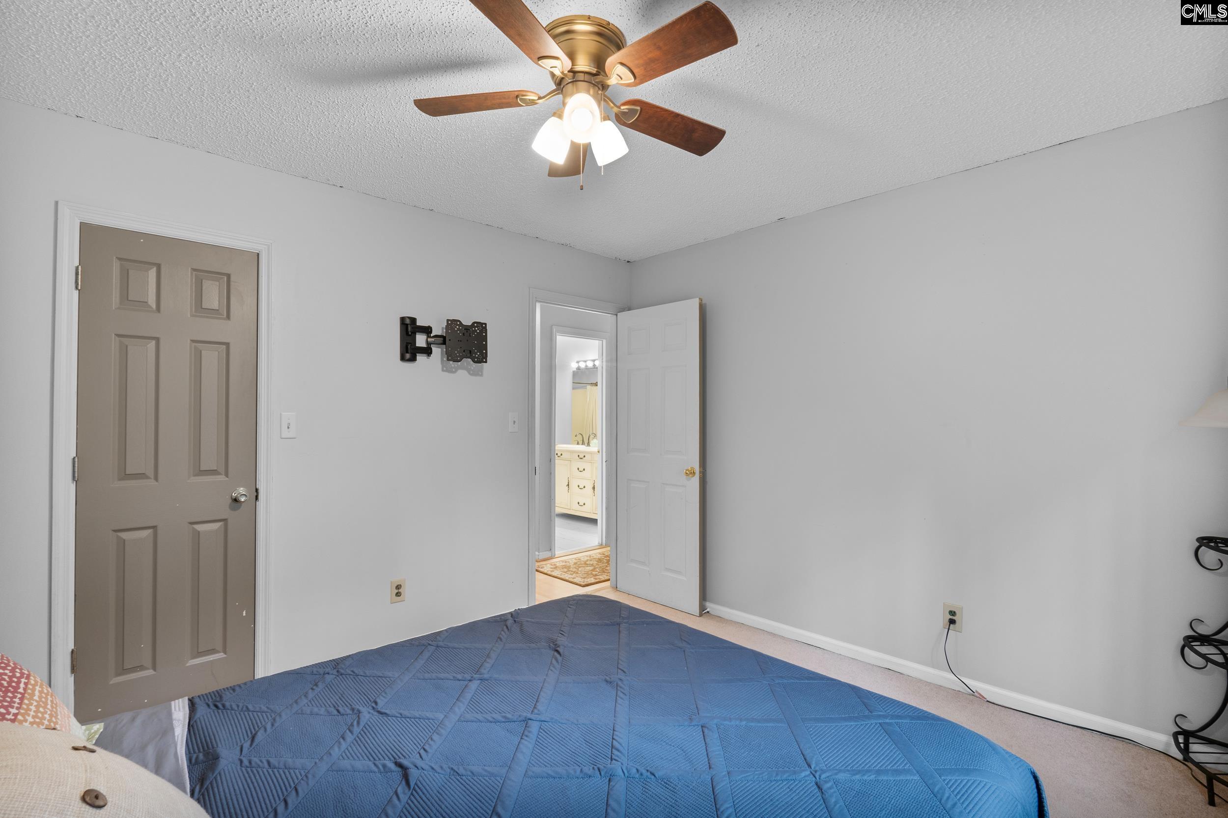 904 Green Meadow Drive Chapin, SC 29036