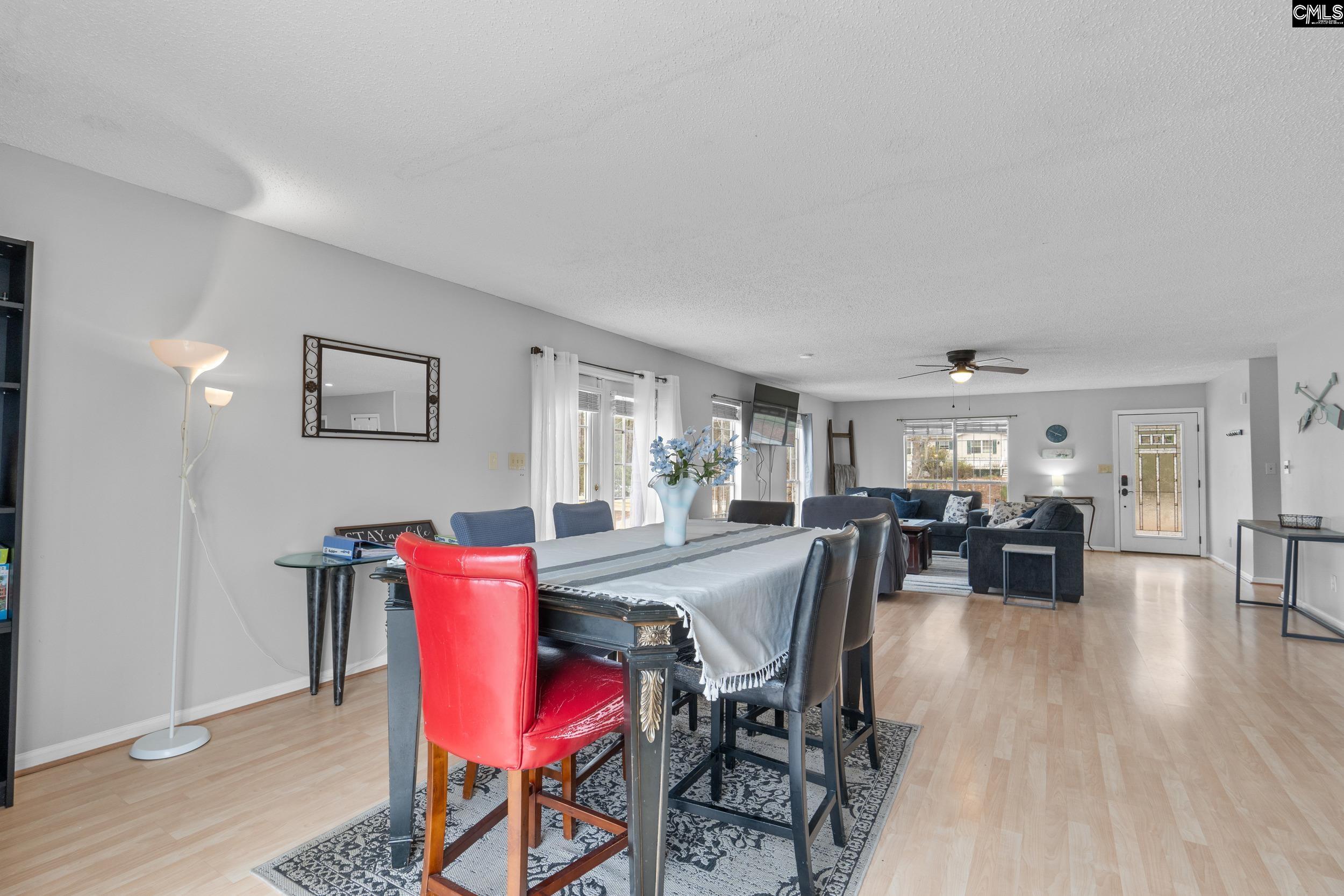 904 Green Meadow Drive Chapin, SC 29036
