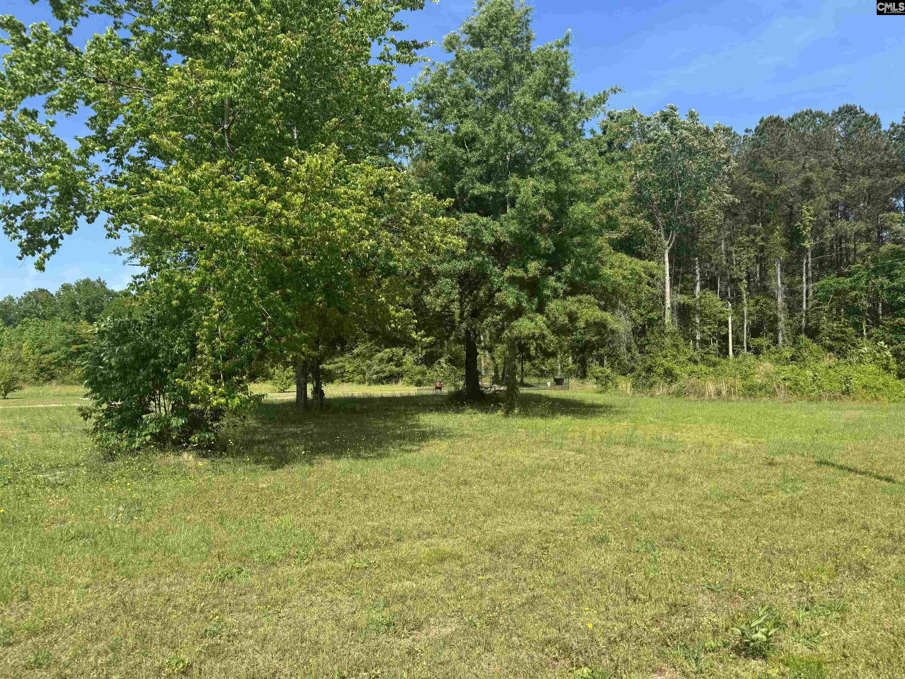 2605 Cedar Creek Road, Gadsden, South Carolina image 6