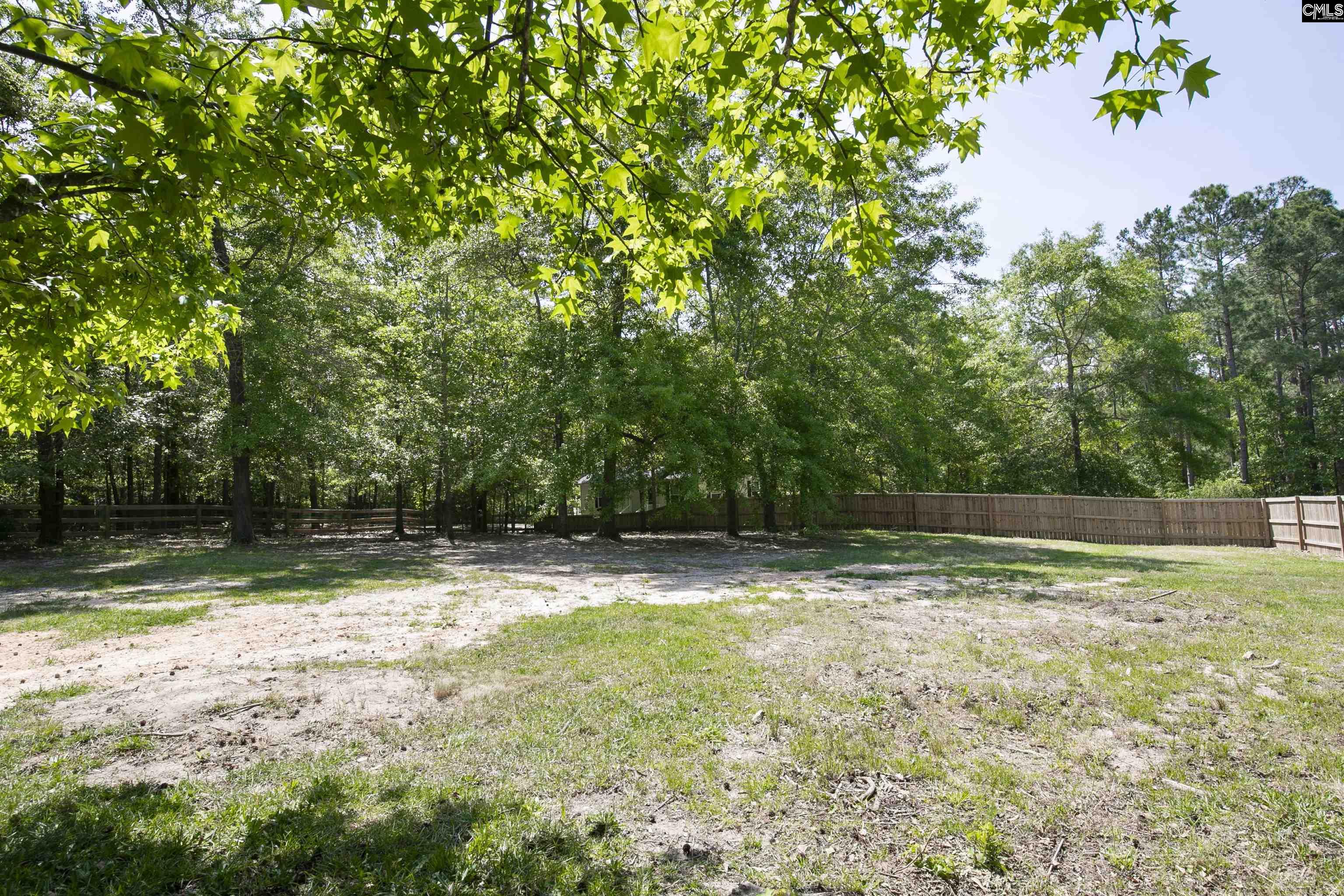 2563 Bowen Street, Elgin, South Carolina image 13