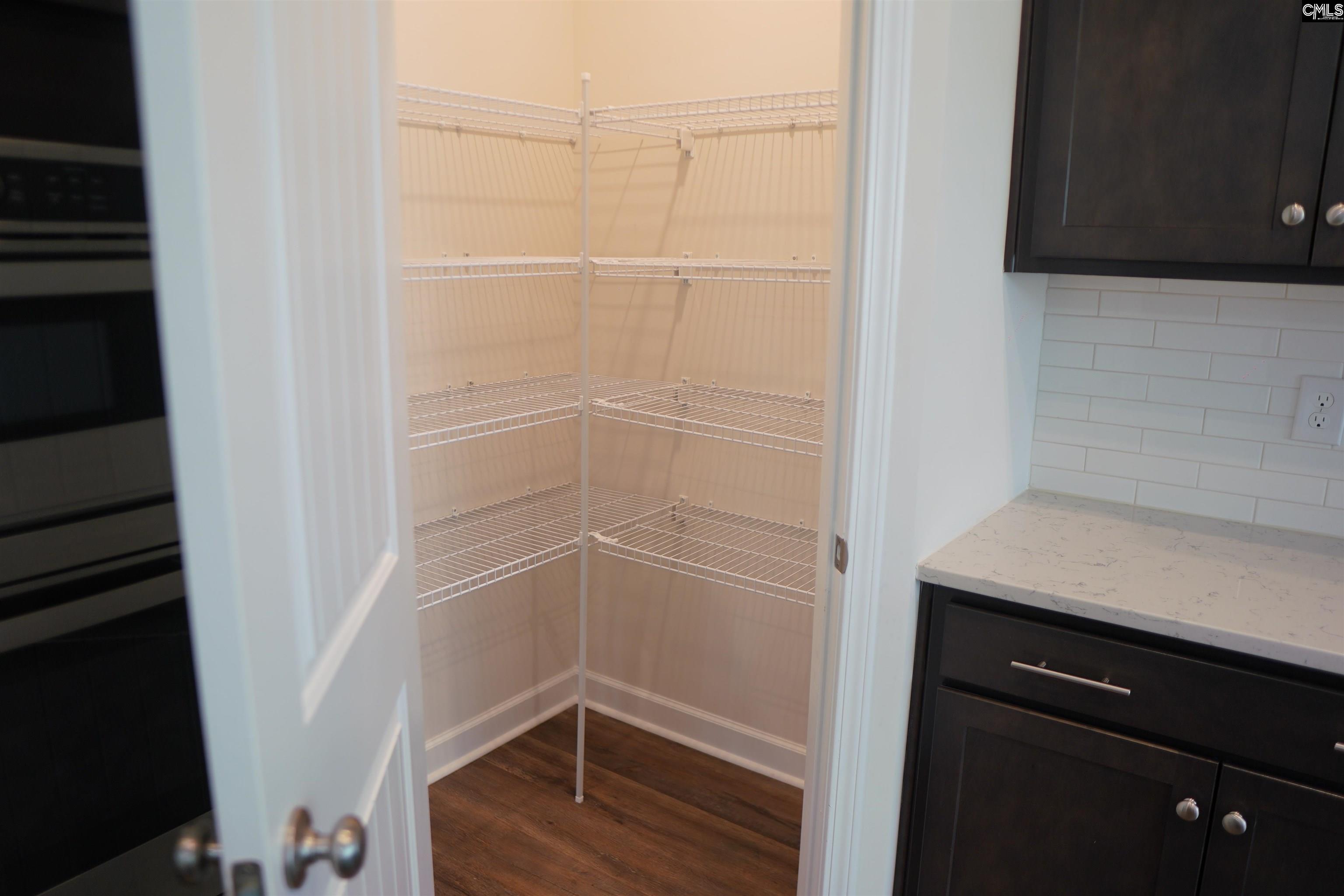 509 Malachite Lane Chapin, SC 29036
