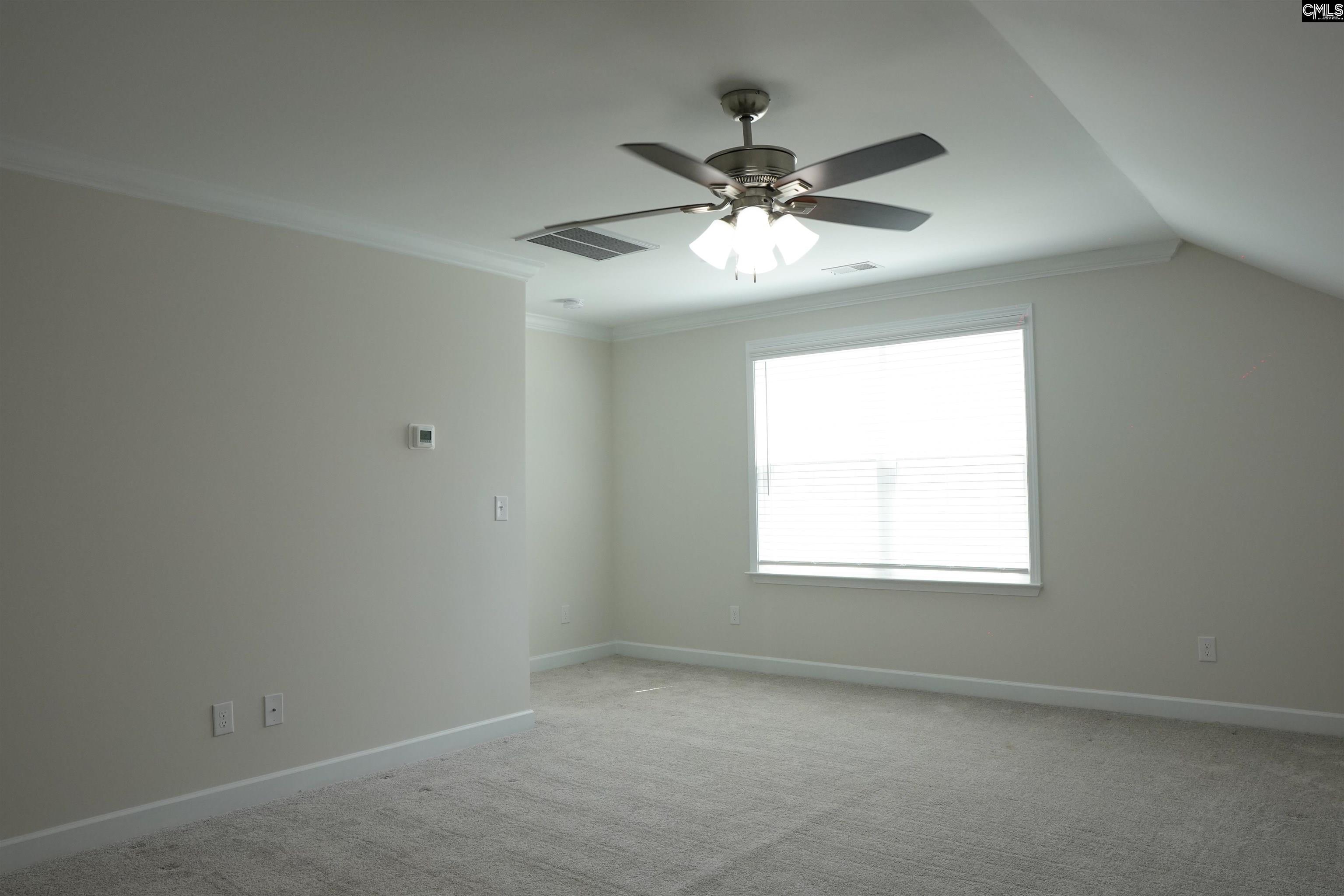 509 Malachite Lane Chapin, SC 29036
