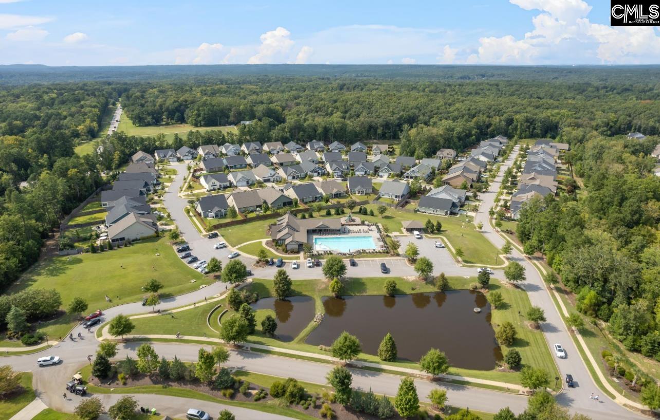 509 Malachite Lane Chapin, SC 29036