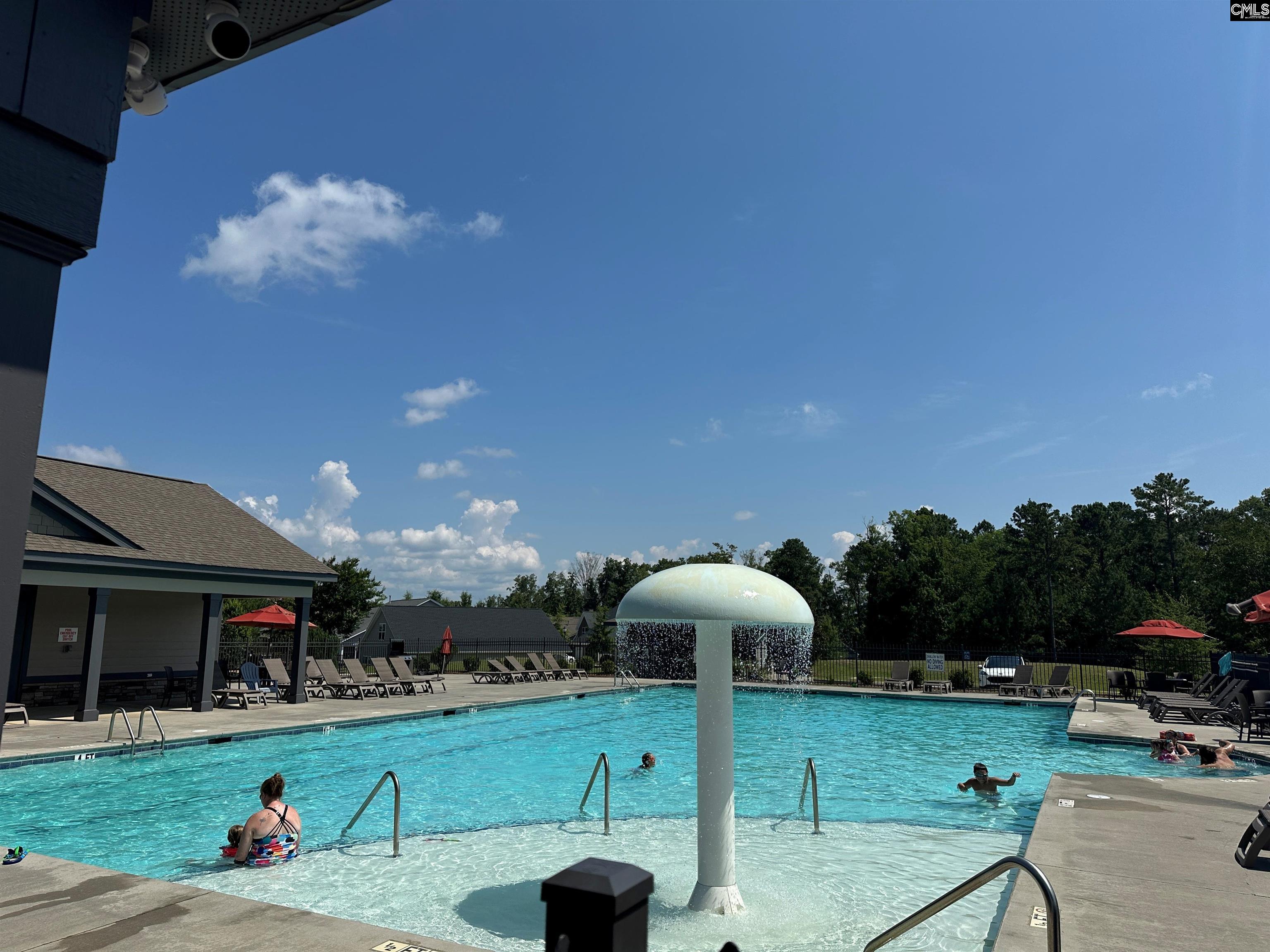 509 Malachite Lane Chapin, SC 29036