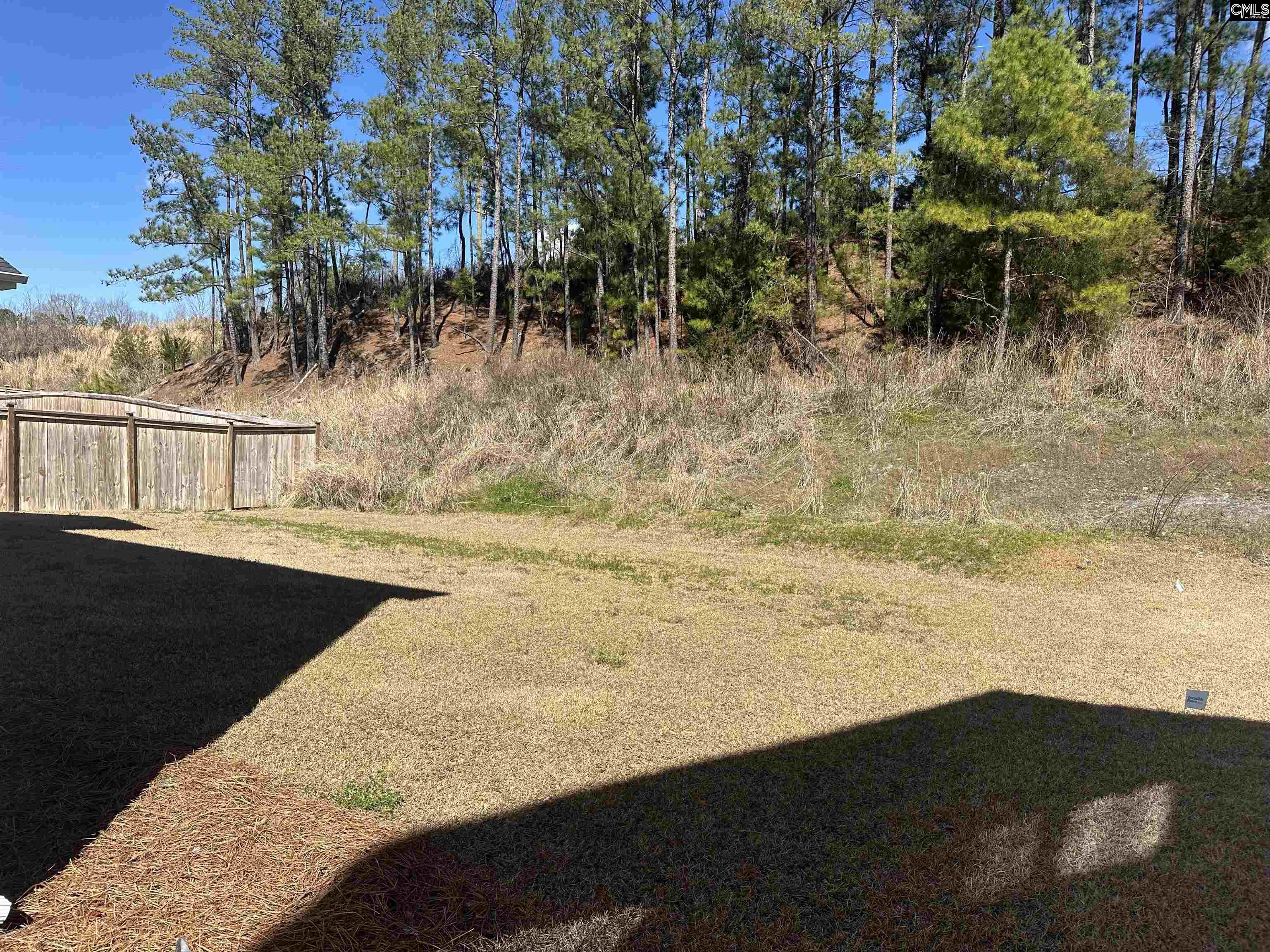 433 Outer Banks Drive, Lexington, South Carolina image 3