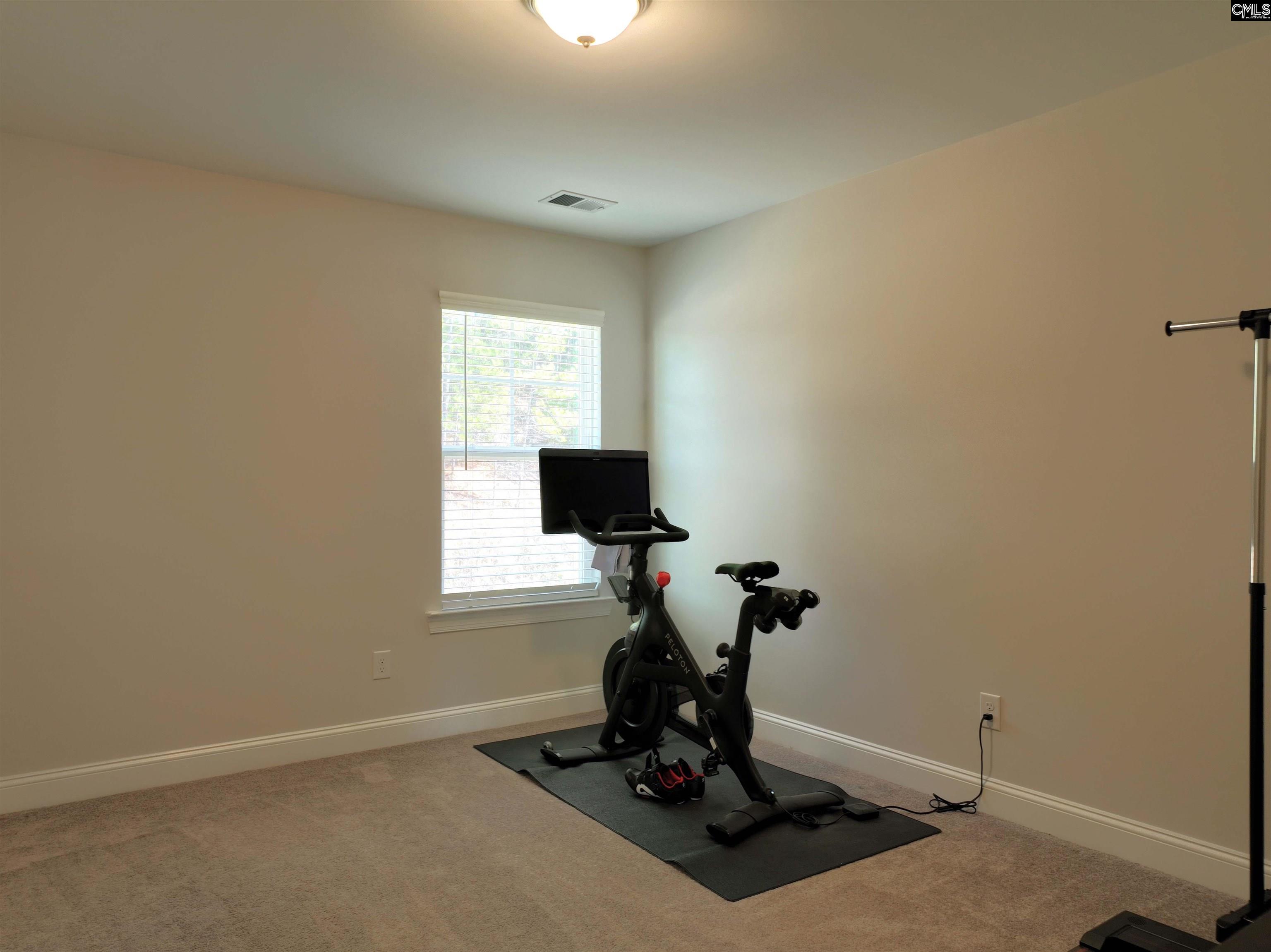 433 Outer Banks Drive, Lexington, South Carolina image 35
