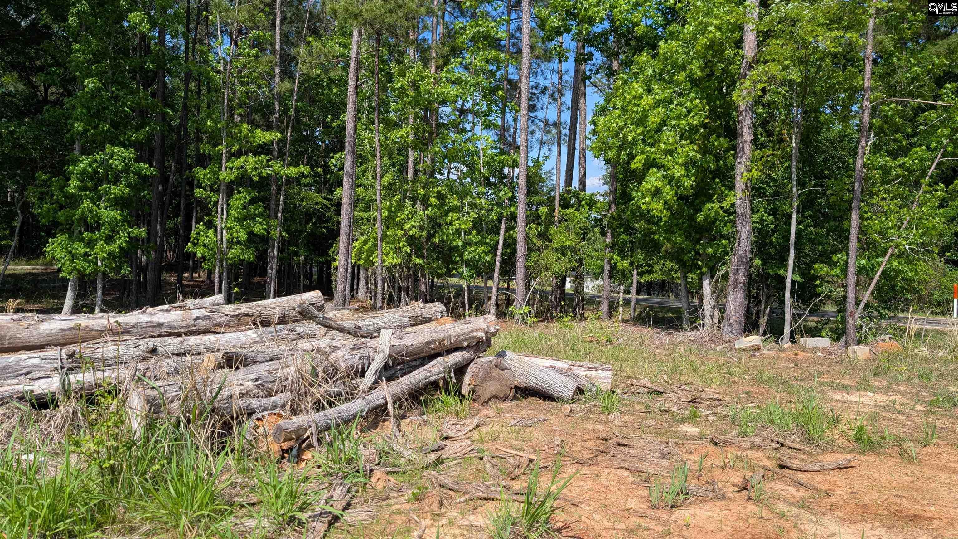 TBD Rolling Hills Rd, Ridgeway, South Carolina image 2
