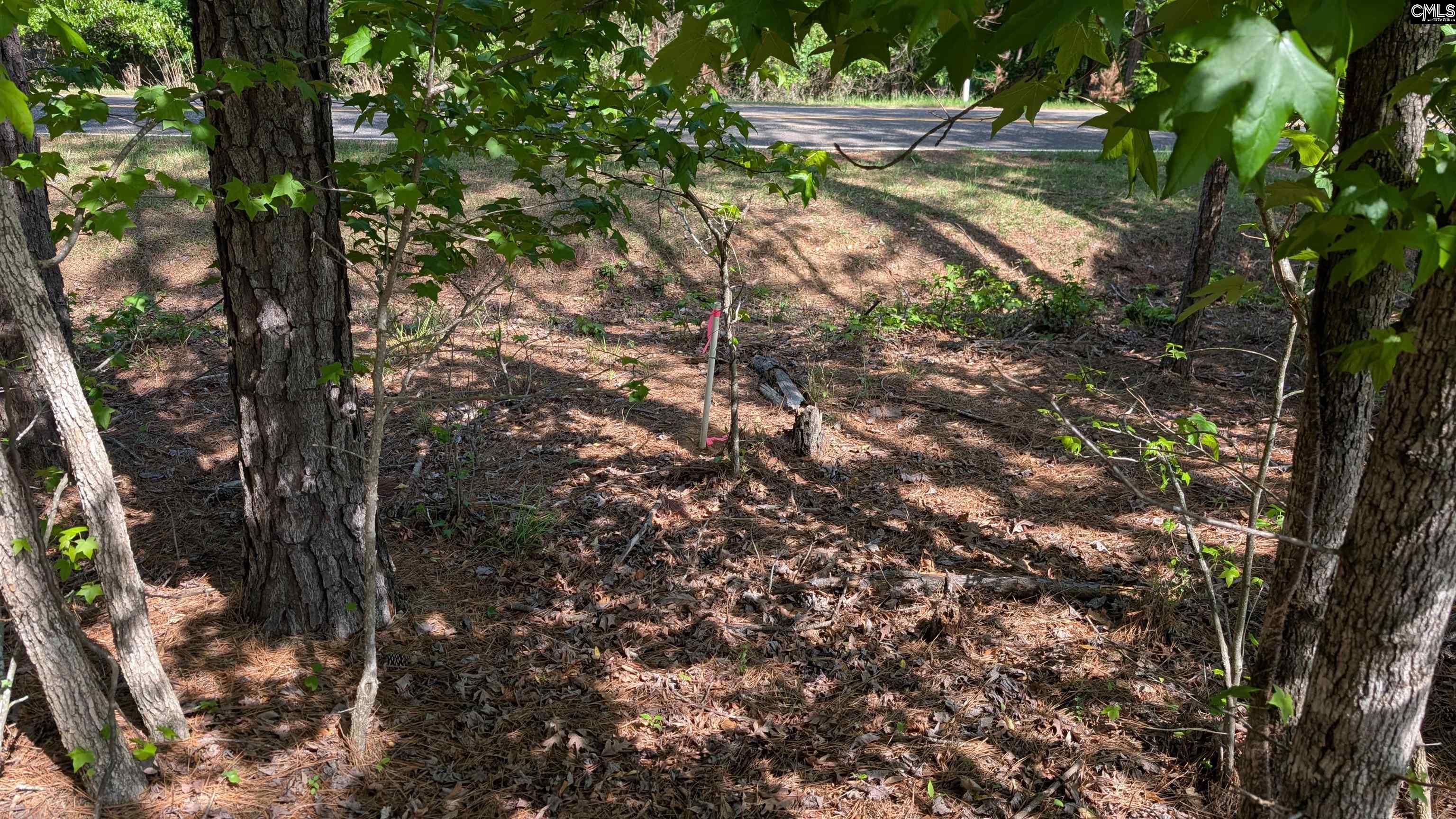 TBD Rolling Hills Rd, Ridgeway, South Carolina image 3