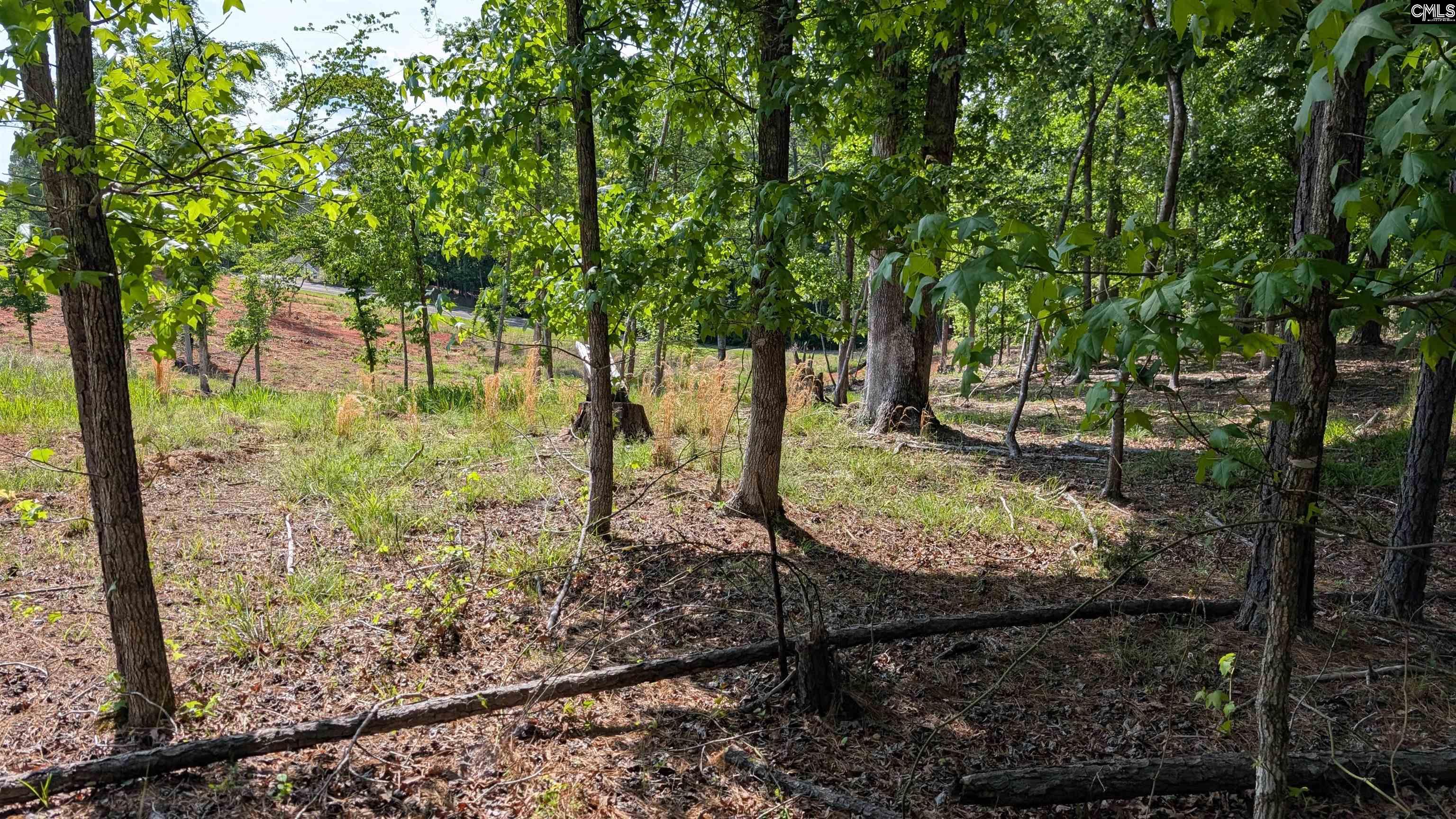 TBD Rolling Hills Rd, Ridgeway, South Carolina image 4