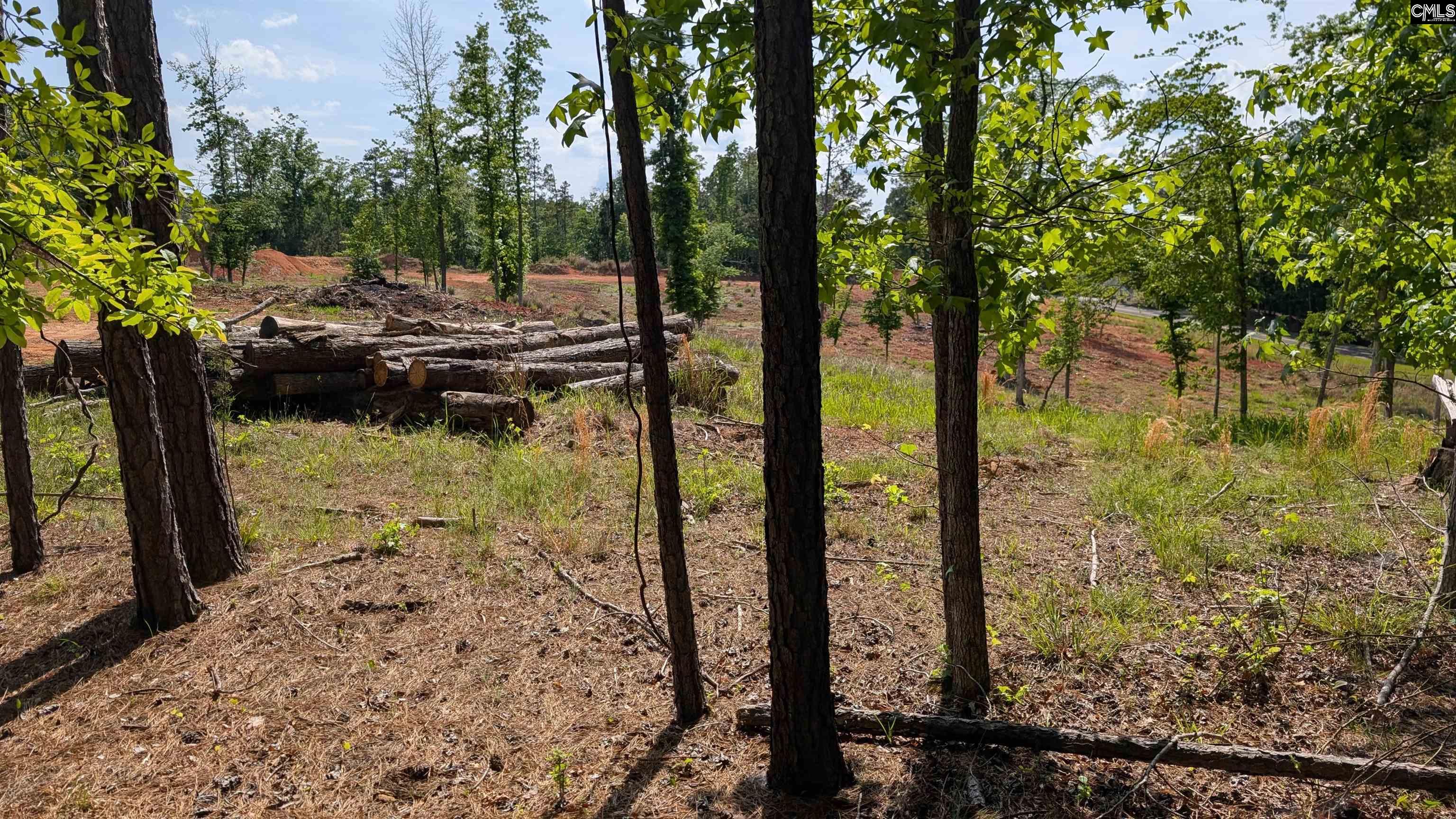 TBD Rolling Hills Rd, Ridgeway, South Carolina image 5