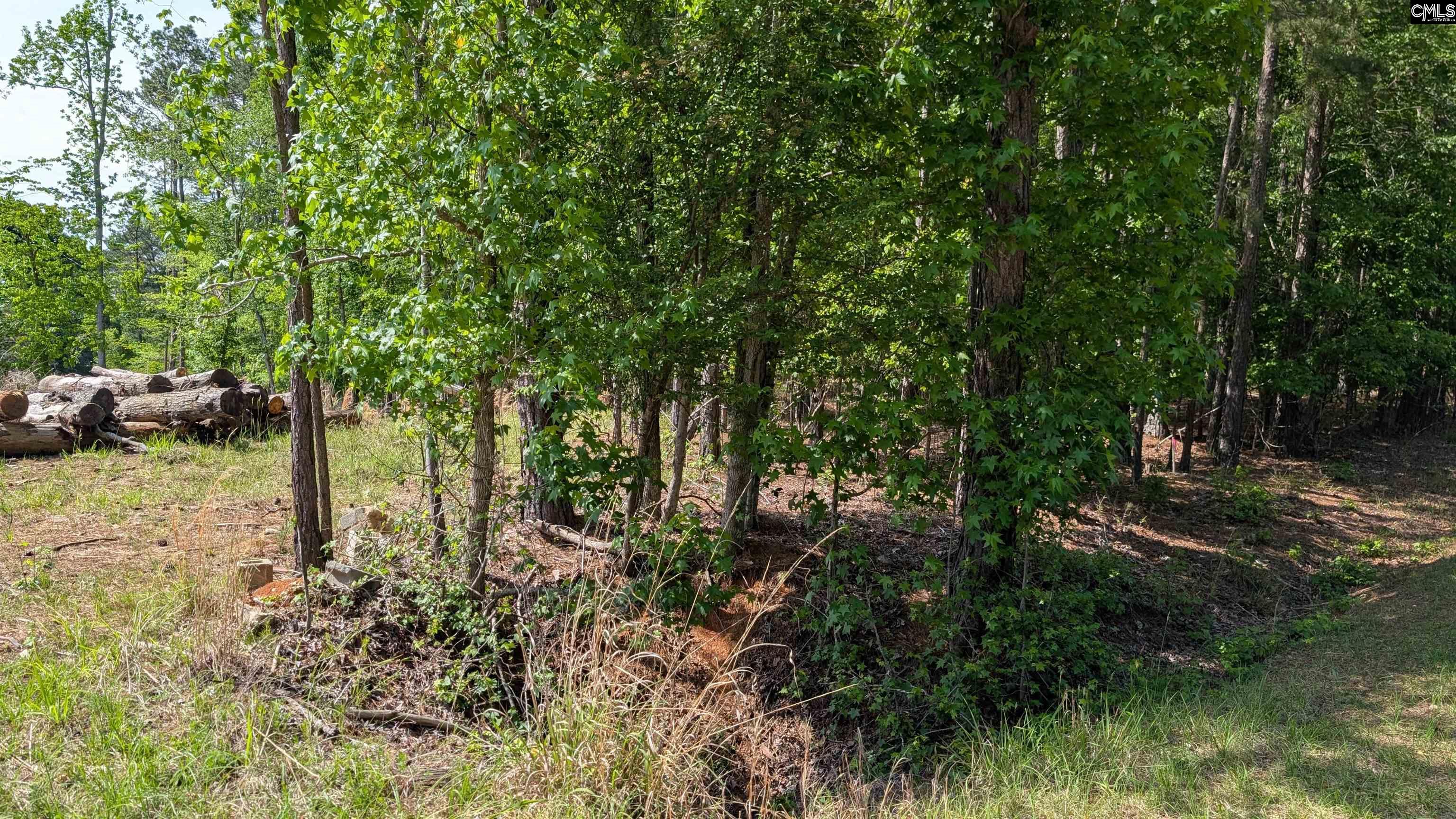 TBD Rolling Hills Rd, Ridgeway, South Carolina image 8