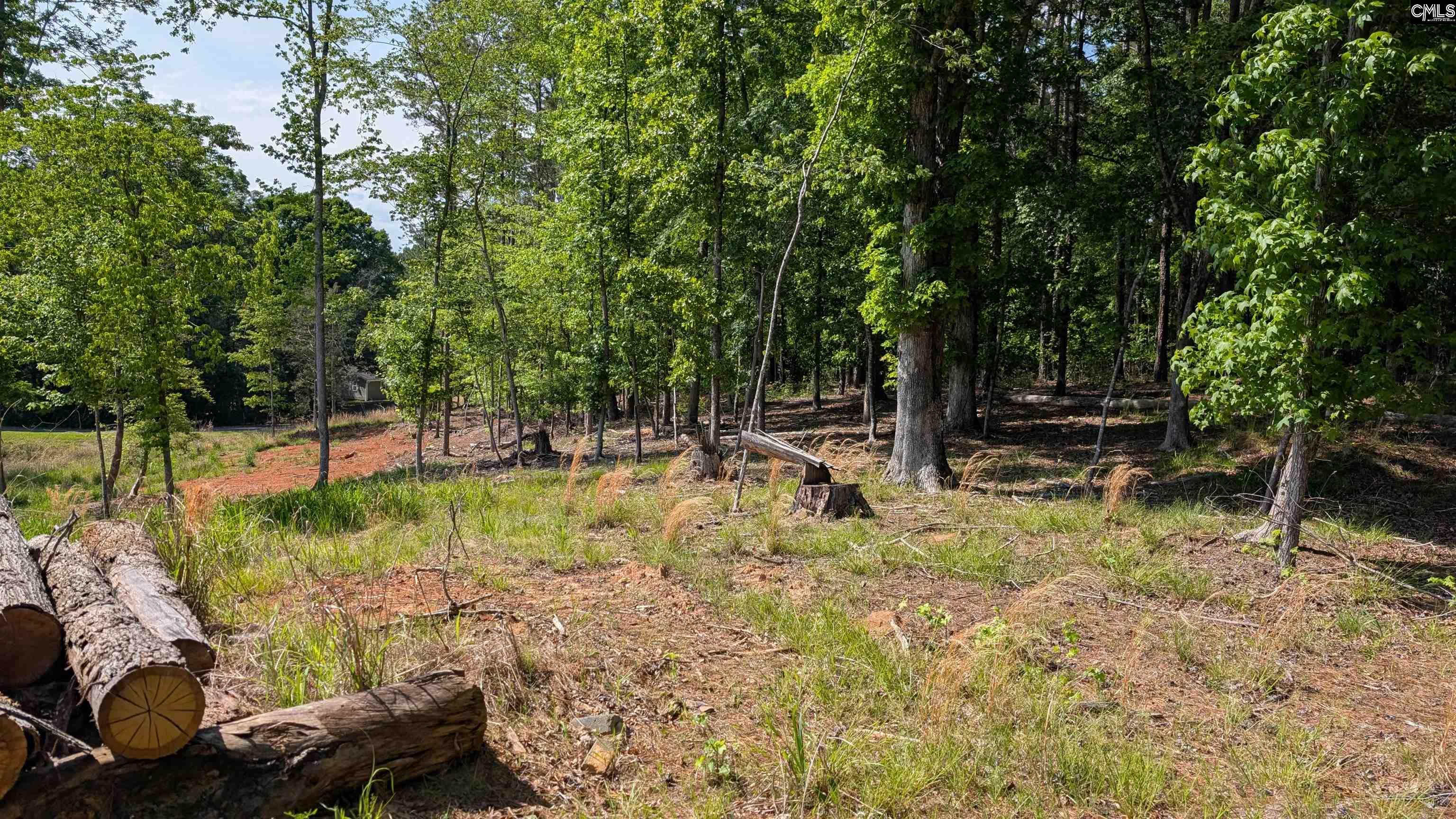 TBD Rolling Hills Rd, Ridgeway, South Carolina image 9
