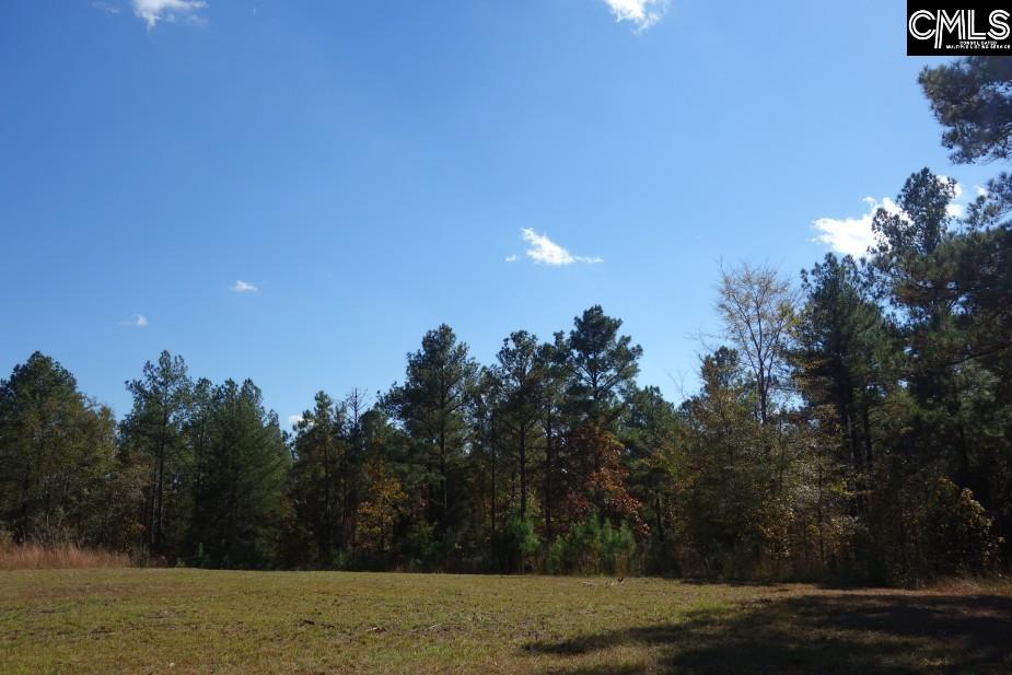 Great North Road, Winnsboro, South Carolina image 11