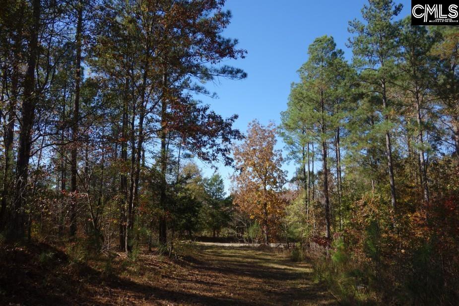 Great North Road, Winnsboro, South Carolina image 13