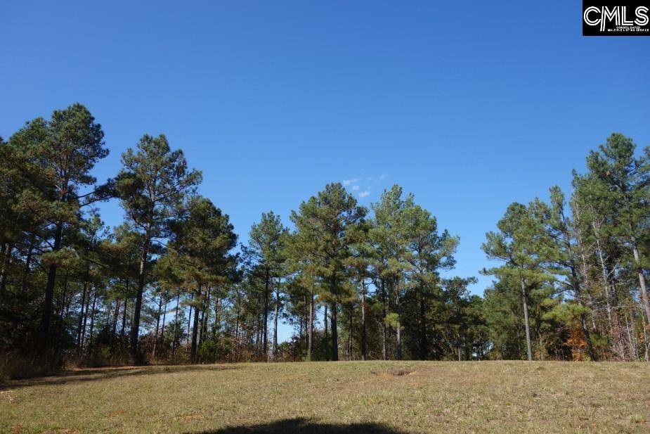 Great North Road, Winnsboro, South Carolina image 15