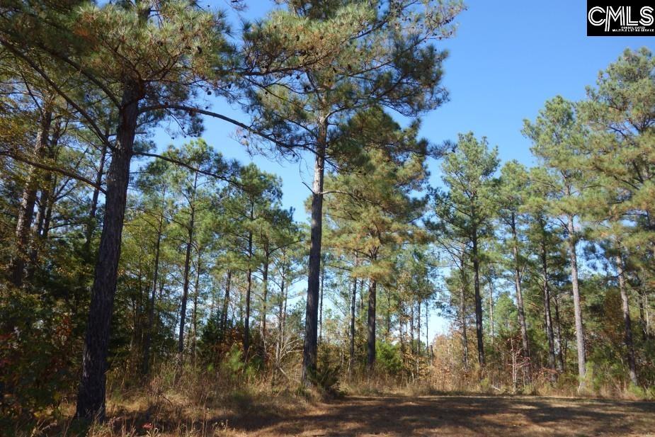 Great North Road, Winnsboro, South Carolina image 17