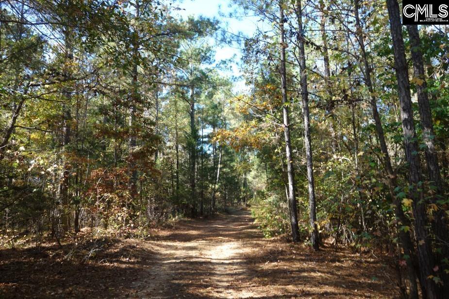 Great North Road, Winnsboro, South Carolina image 18