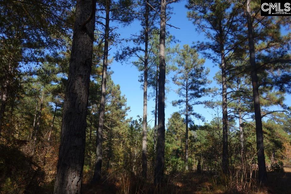 Great North Road, Winnsboro, South Carolina image 3