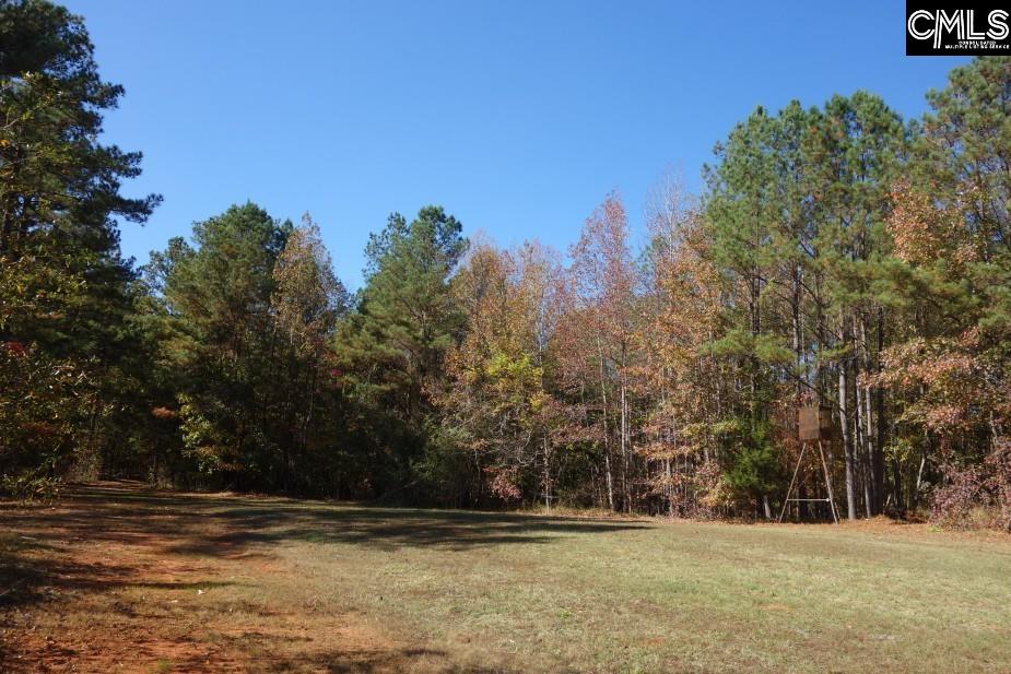Great North Road, Winnsboro, South Carolina image 21
