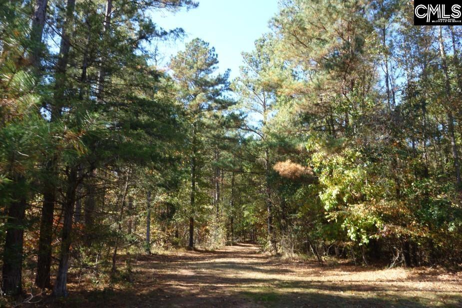 Great North Road, Winnsboro, South Carolina image 23