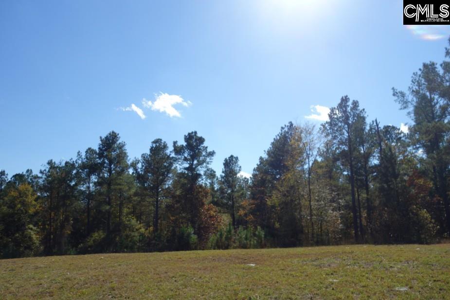 Great North Road, Winnsboro, South Carolina image 26