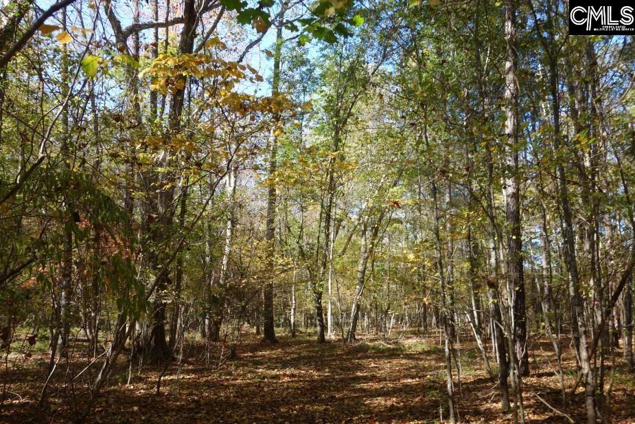 Great North Road, Winnsboro, South Carolina image 27