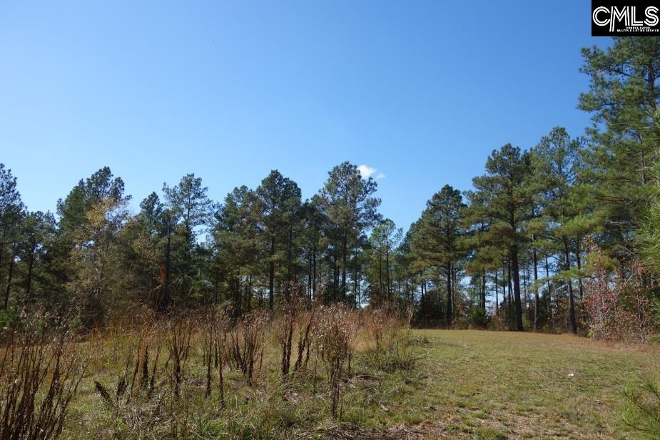 Great North Road, Winnsboro, South Carolina image 29