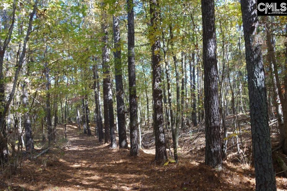 Great North Road, Winnsboro, South Carolina image 30