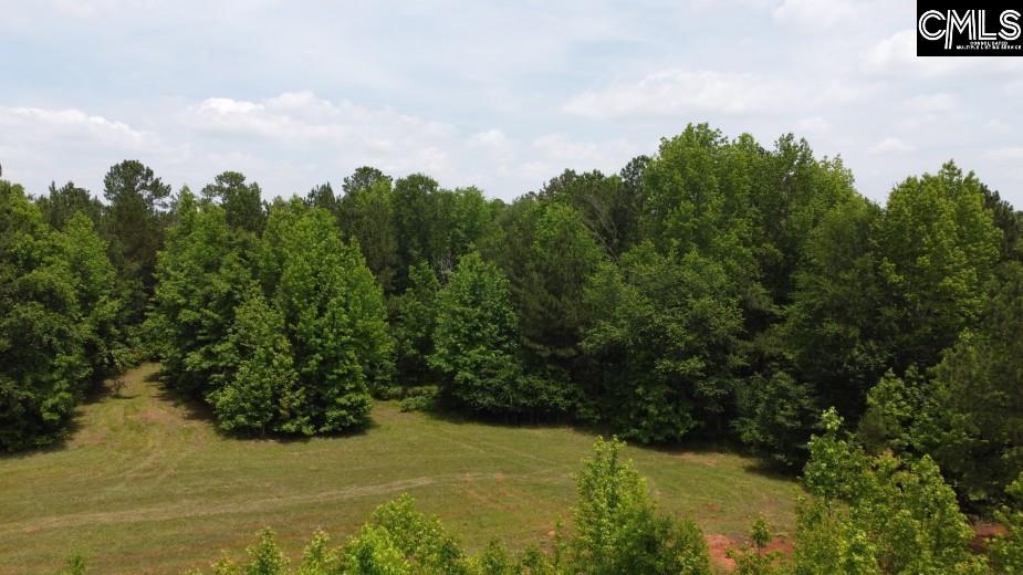 Great North Road, Winnsboro, South Carolina image 31