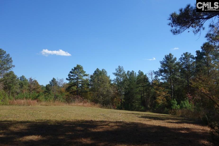 Great North Road, Winnsboro, South Carolina image 32