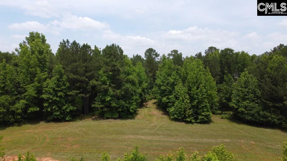 Great North Road, Winnsboro, South Carolina image 34