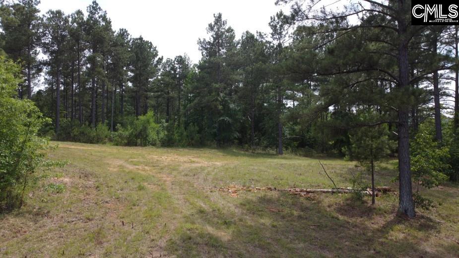 Great North Road, Winnsboro, South Carolina image 35