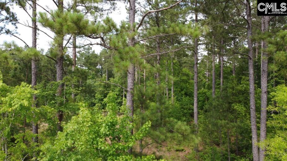 Great North Road, Winnsboro, South Carolina image 36