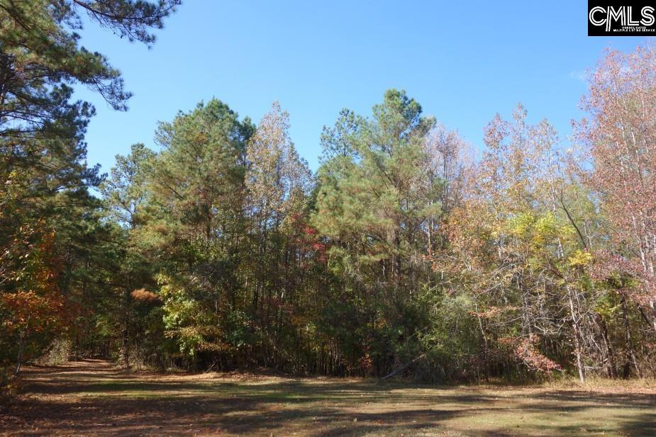 Great North Road, Winnsboro, South Carolina image 38
