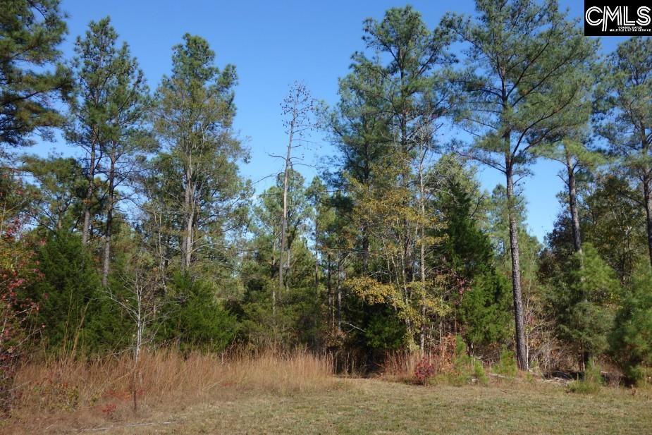 Great North Road, Winnsboro, South Carolina image 40