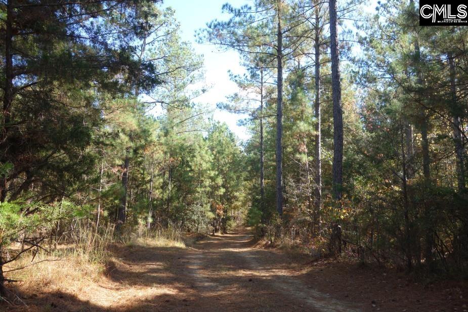 Great North Road, Winnsboro, South Carolina image 41