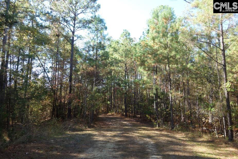 Great North Road, Winnsboro, South Carolina image 43
