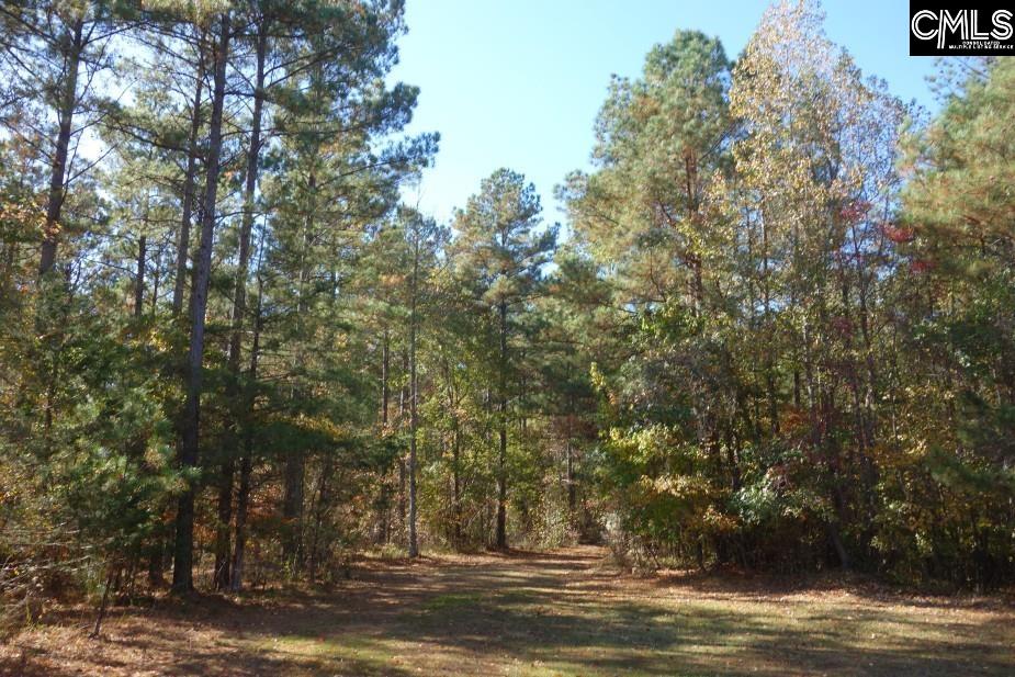 Great North Road, Winnsboro, South Carolina image 45