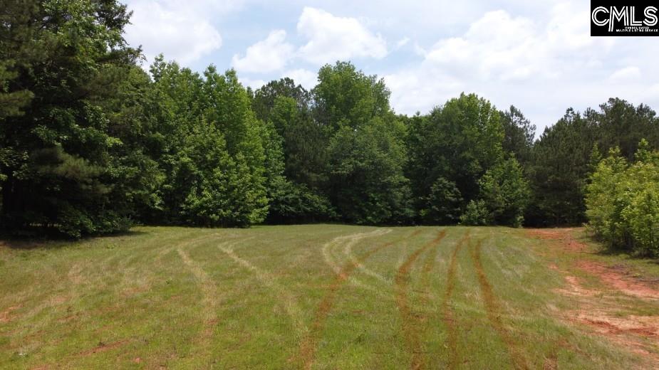 Great North Road, Winnsboro, South Carolina image 46
