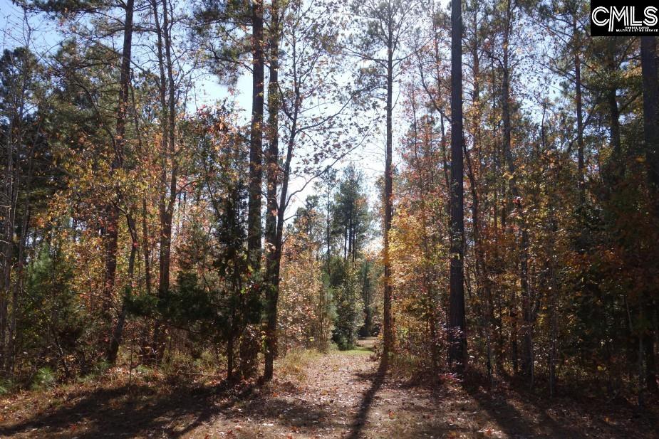 Great North Road, Winnsboro, South Carolina image 47