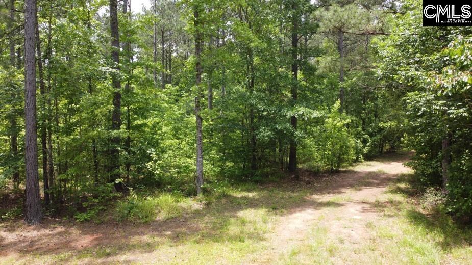 Great North Road, Winnsboro, South Carolina image 48