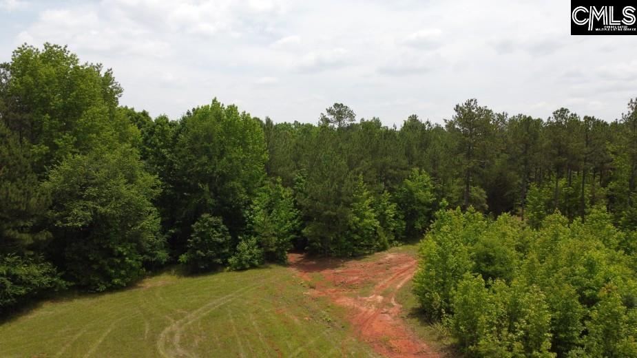 Great North Road, Winnsboro, South Carolina image 49