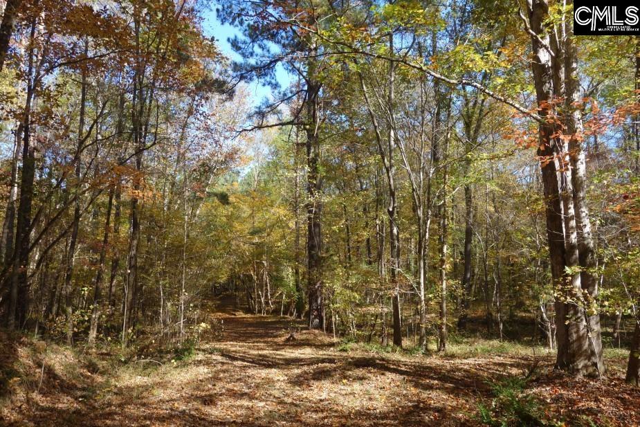 Great North Road, Winnsboro, South Carolina image 50