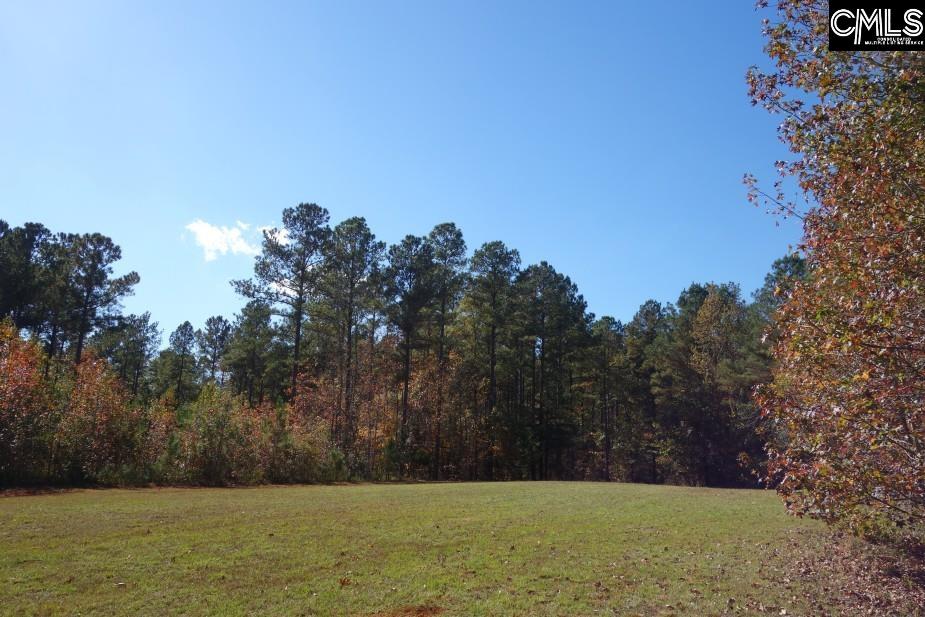 Great North Road, Winnsboro, South Carolina image 6