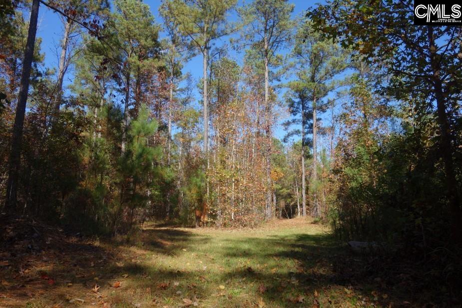 Great North Road, Winnsboro, South Carolina image 8