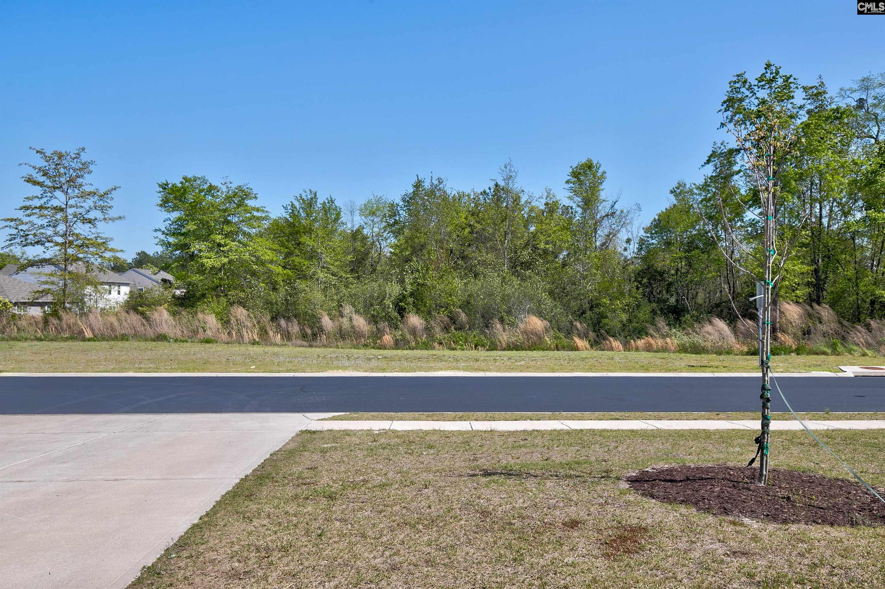 132 Carrington Drive, Lugoff, South Carolina image 3