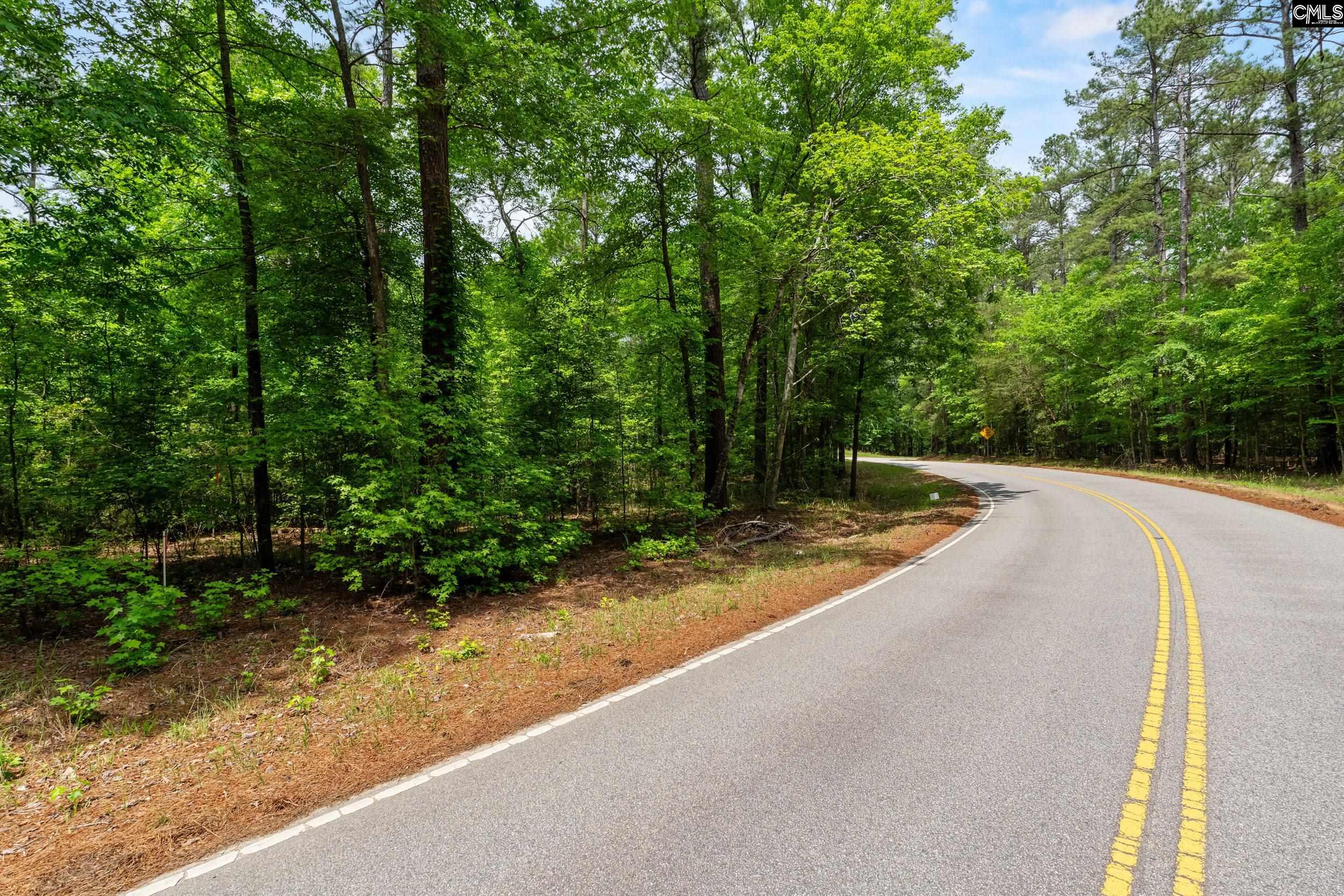 1427-4 Buck Hill Landing Road #LOT 4, Ridgeway, South Carolina image 3