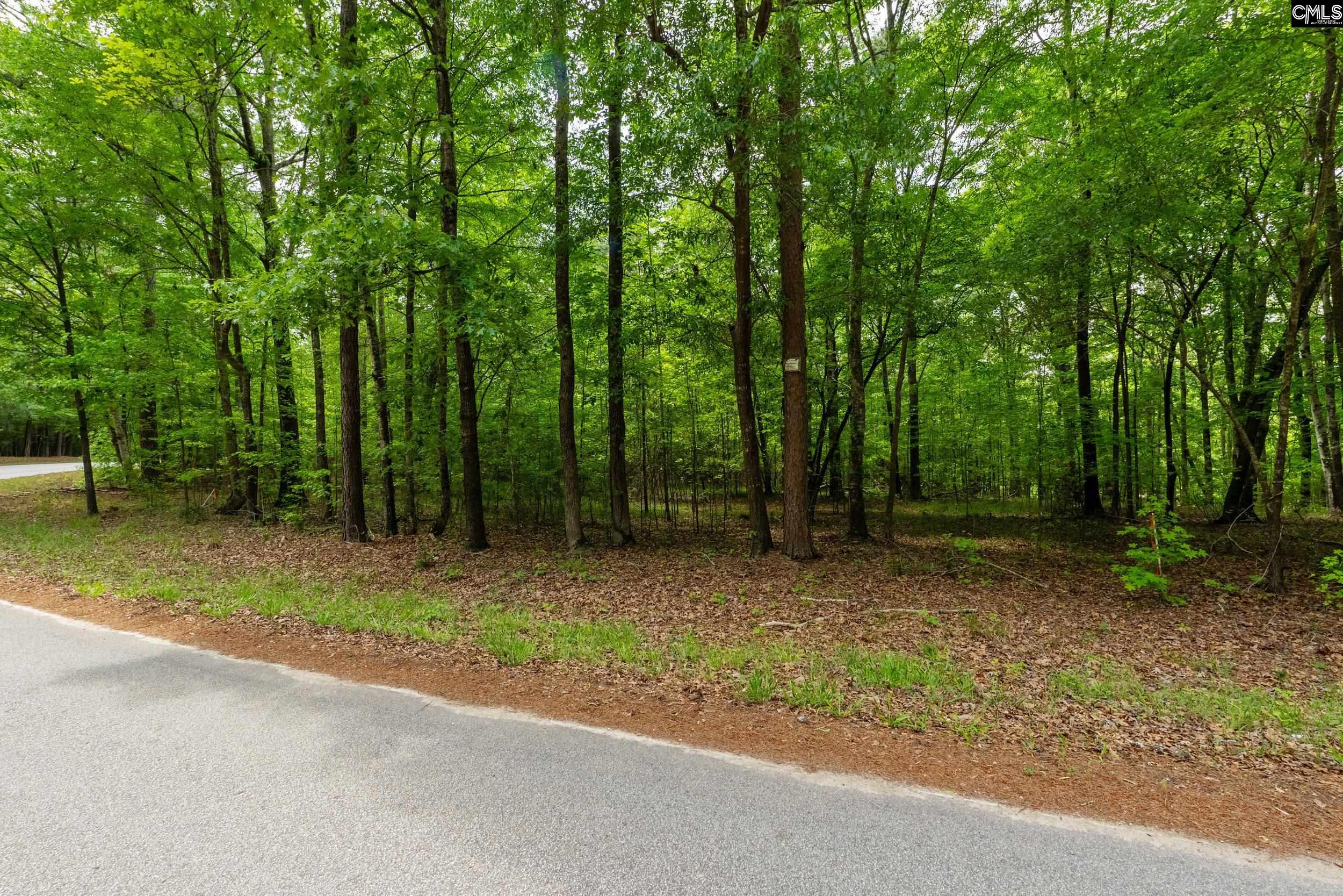 1427-4 Buck Hill Landing Road #LOT 4, Ridgeway, South Carolina image 17