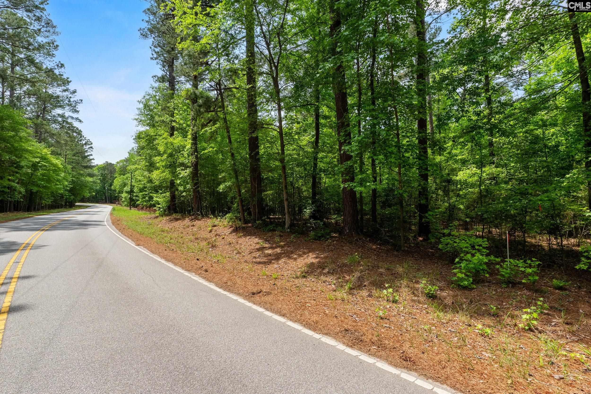 1427-4 Buck Hill Landing Road #LOT 4, Ridgeway, South Carolina image 19